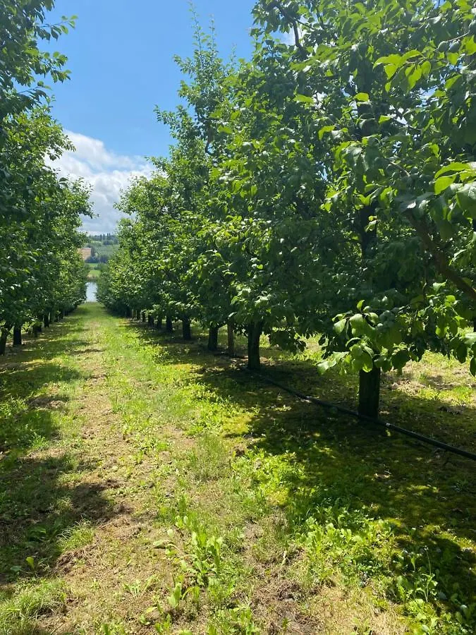 maison 10 personnes à la campagne dans une ferme fruitière uniquement à la semaine Montbarla 0*,  França